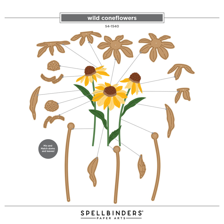 Spellbinders - Wild Coneflowers Etched Dies by Simon Hurley