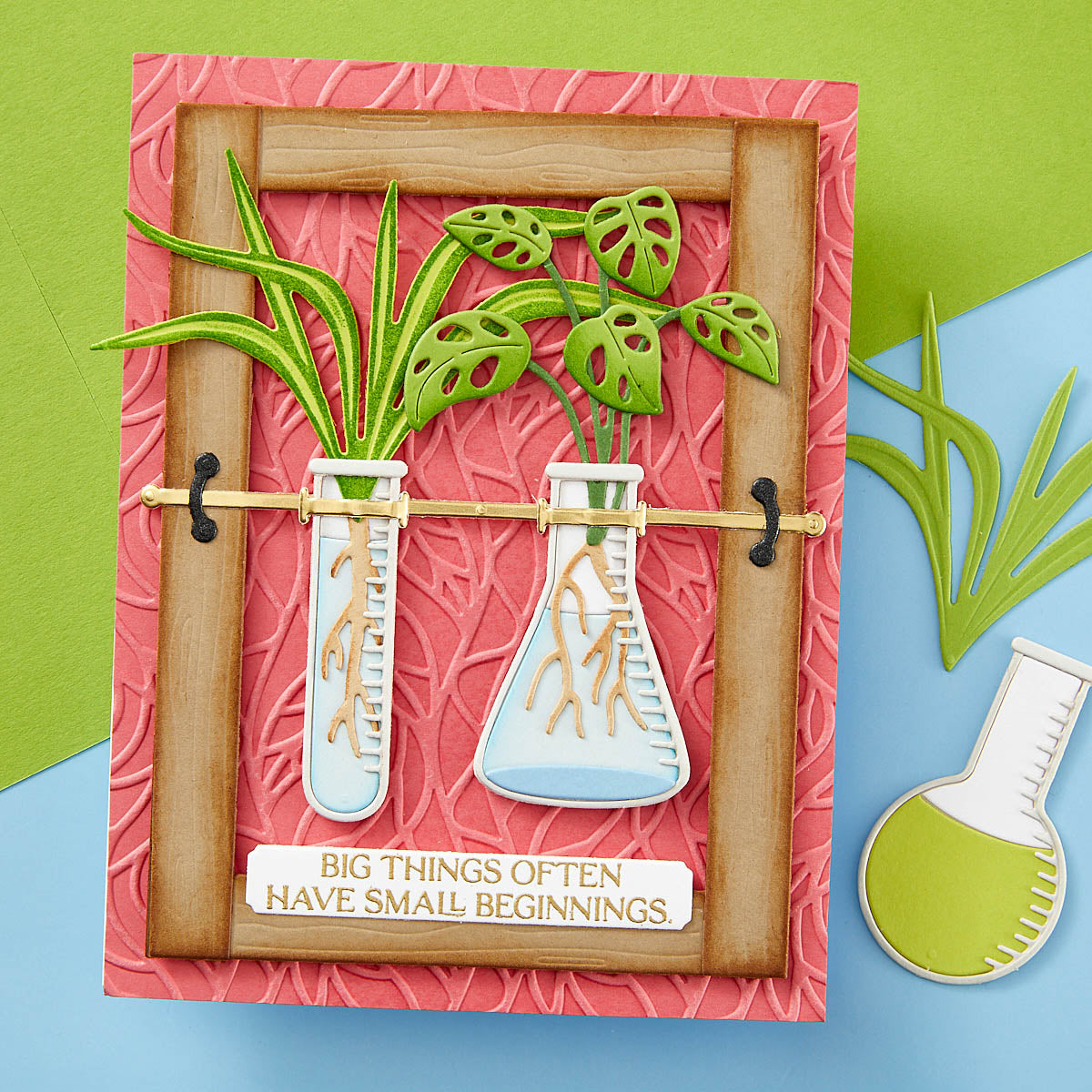 Spellbinders - Propagation Garden Frames Etched Dies from the Propagation Garden Collection by Annie Williams