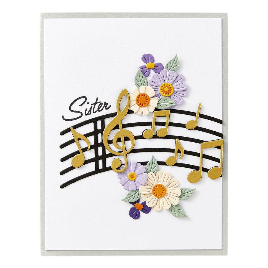 Spellbinders - Musical Notes & Stave Pop-Up Etched Dies from the Bibi's Musical Notes Collection by Bibi Cameron