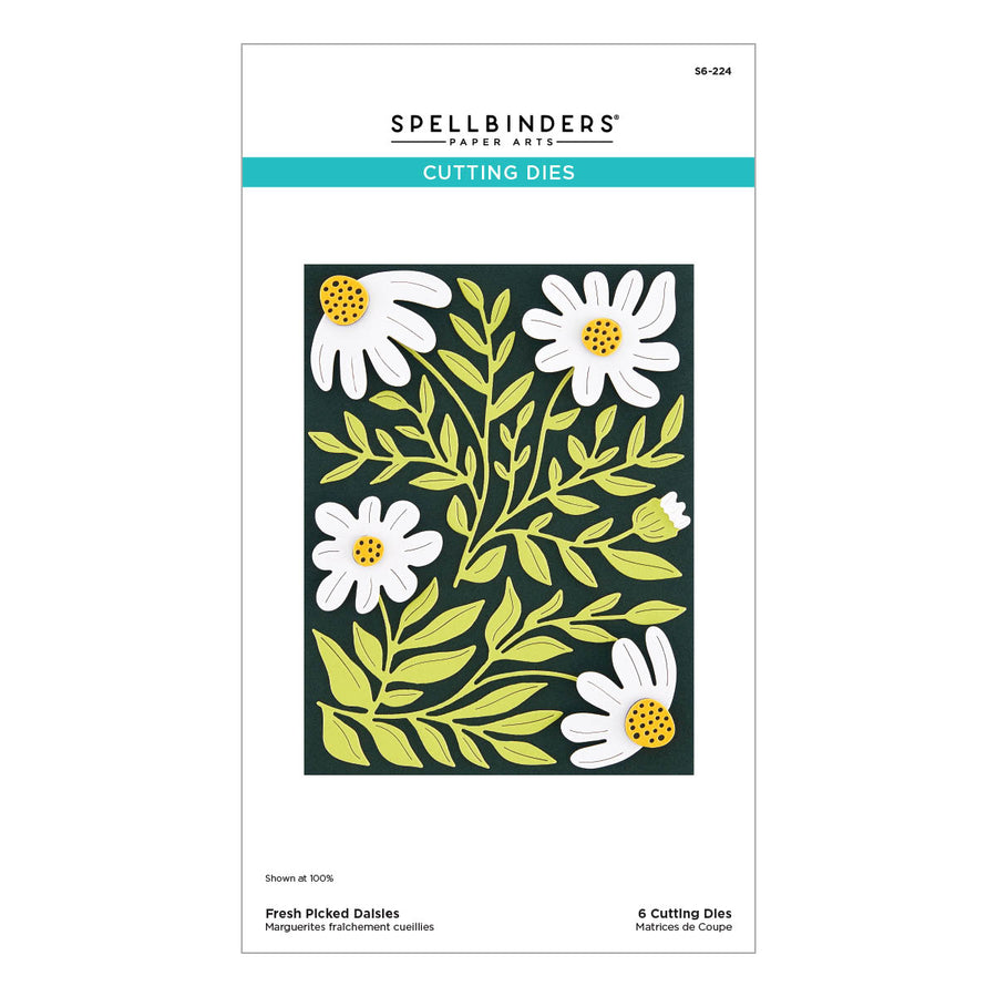 Spellbinders - Fresh Picked Daisies Etched Dies from the More Fresh Picked Collection