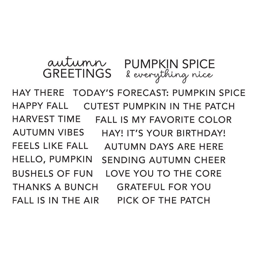 A white square graphic with black text reading 'autumn GREETINGS' and 'PUMPKIN SPICE & everything nice,' followed by multiple autumn-themed phrases such as 'HAY THERE,' 'HAPPY FALL,' 'AUTUMN VIBES,' and 'BIRTHDAY!'. Spellbinders All About Fall Clear Stamp Set by Allison Frazier
