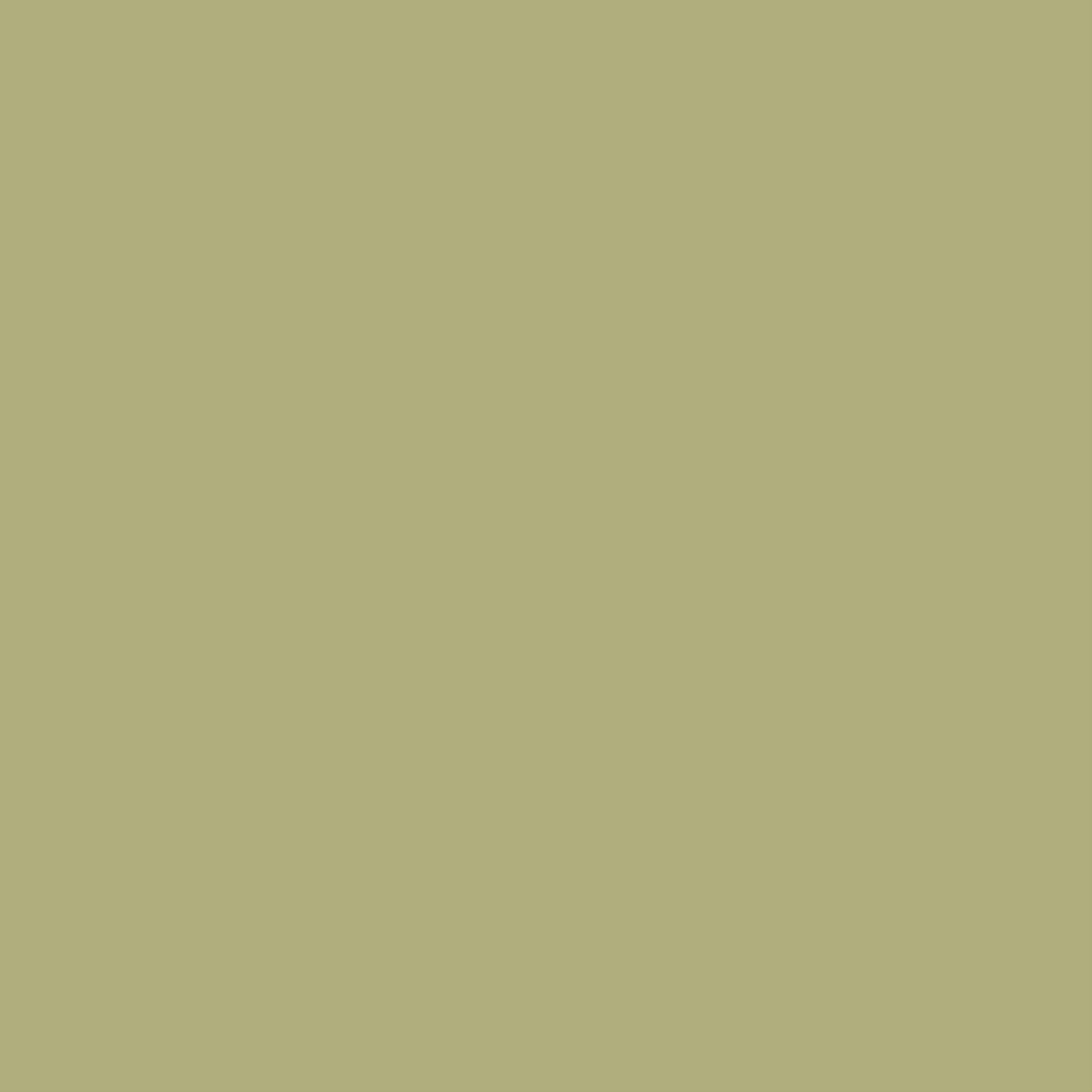 Uniquely Creative - 12" x 12" Sage Cardstock Side A