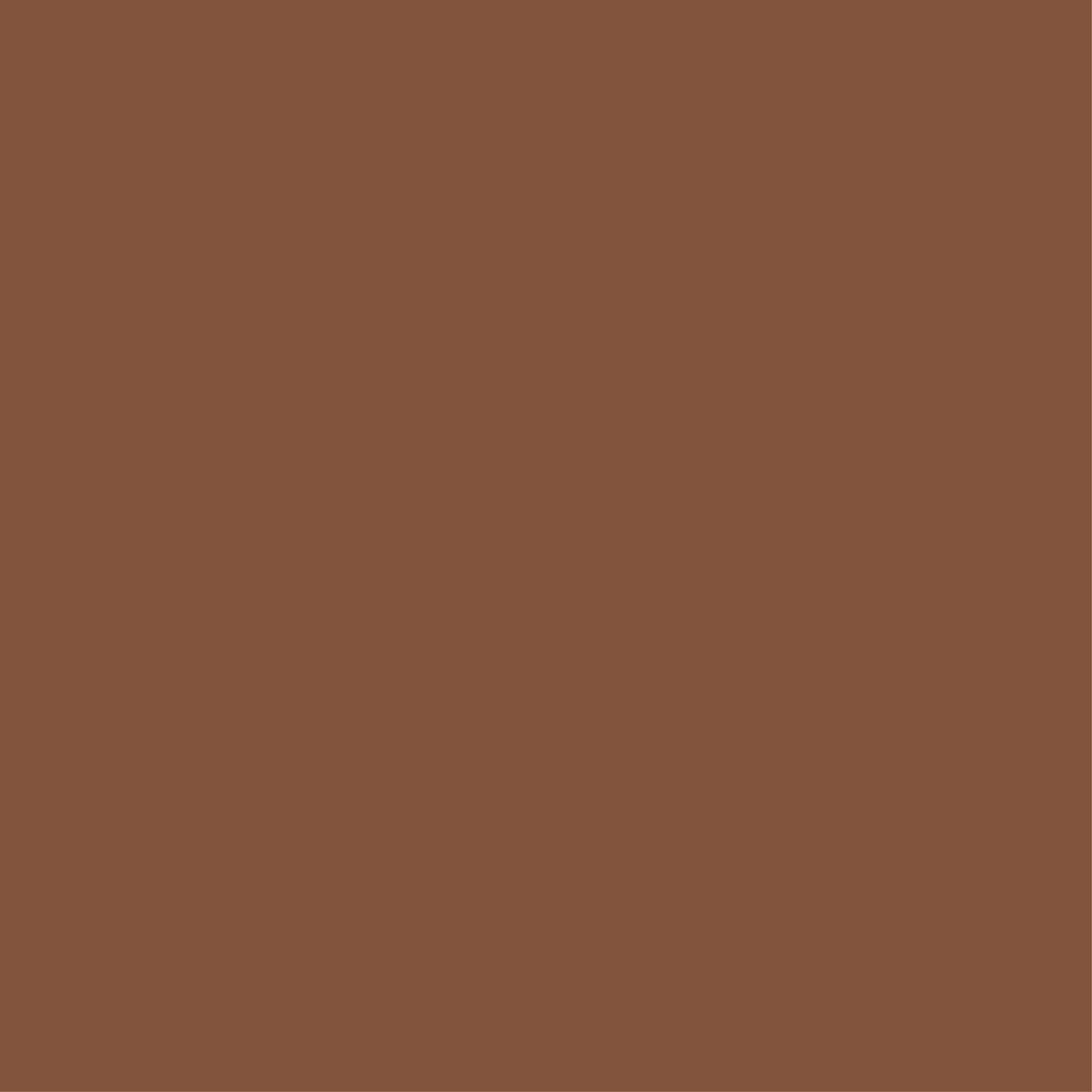 Uniquely Creative - 12" x 12" Chocolate Cardstock (Individual Sheets) Side A