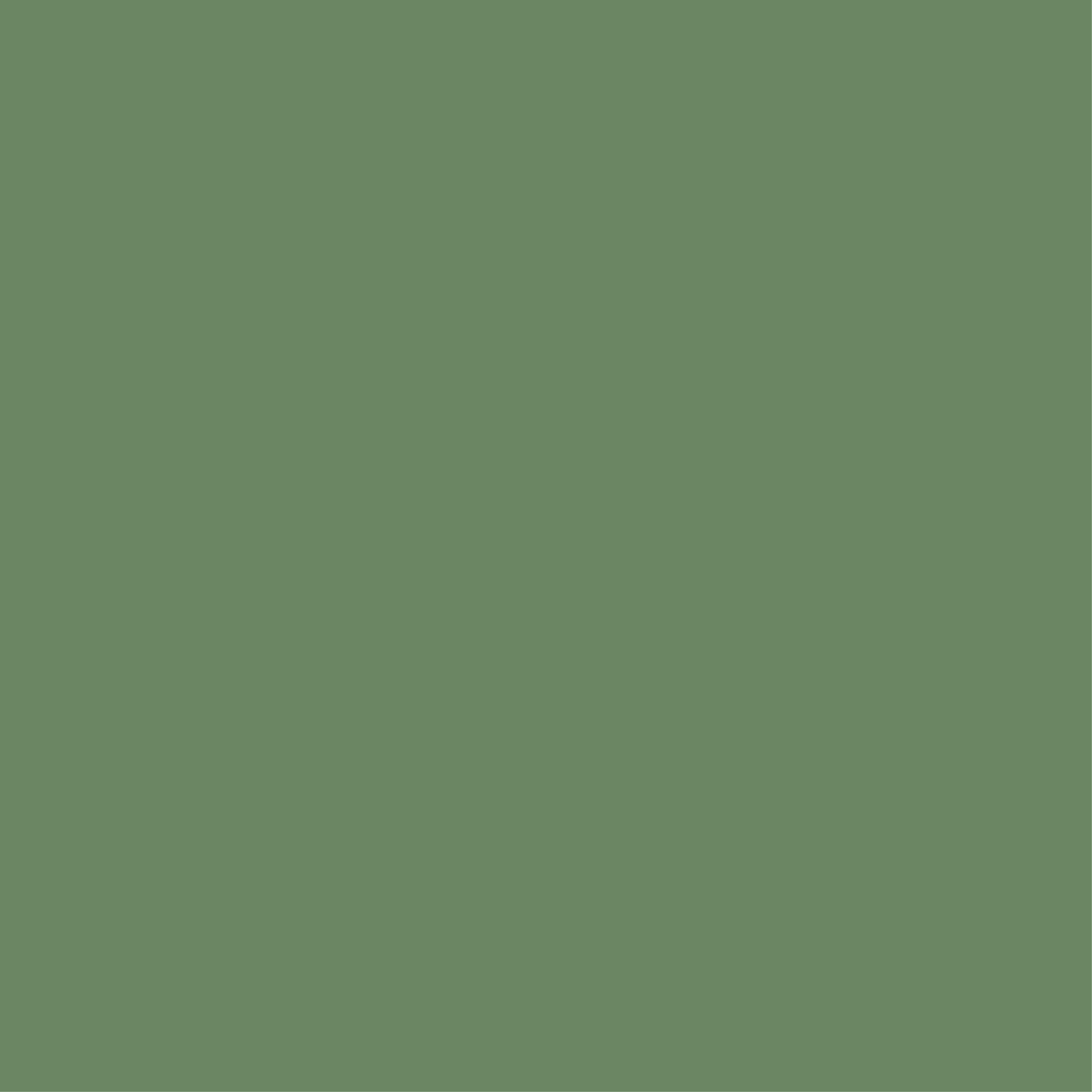 Uniquely Creative - 12" x 12" Pine Cardstock (Individual Sheets) - Side A