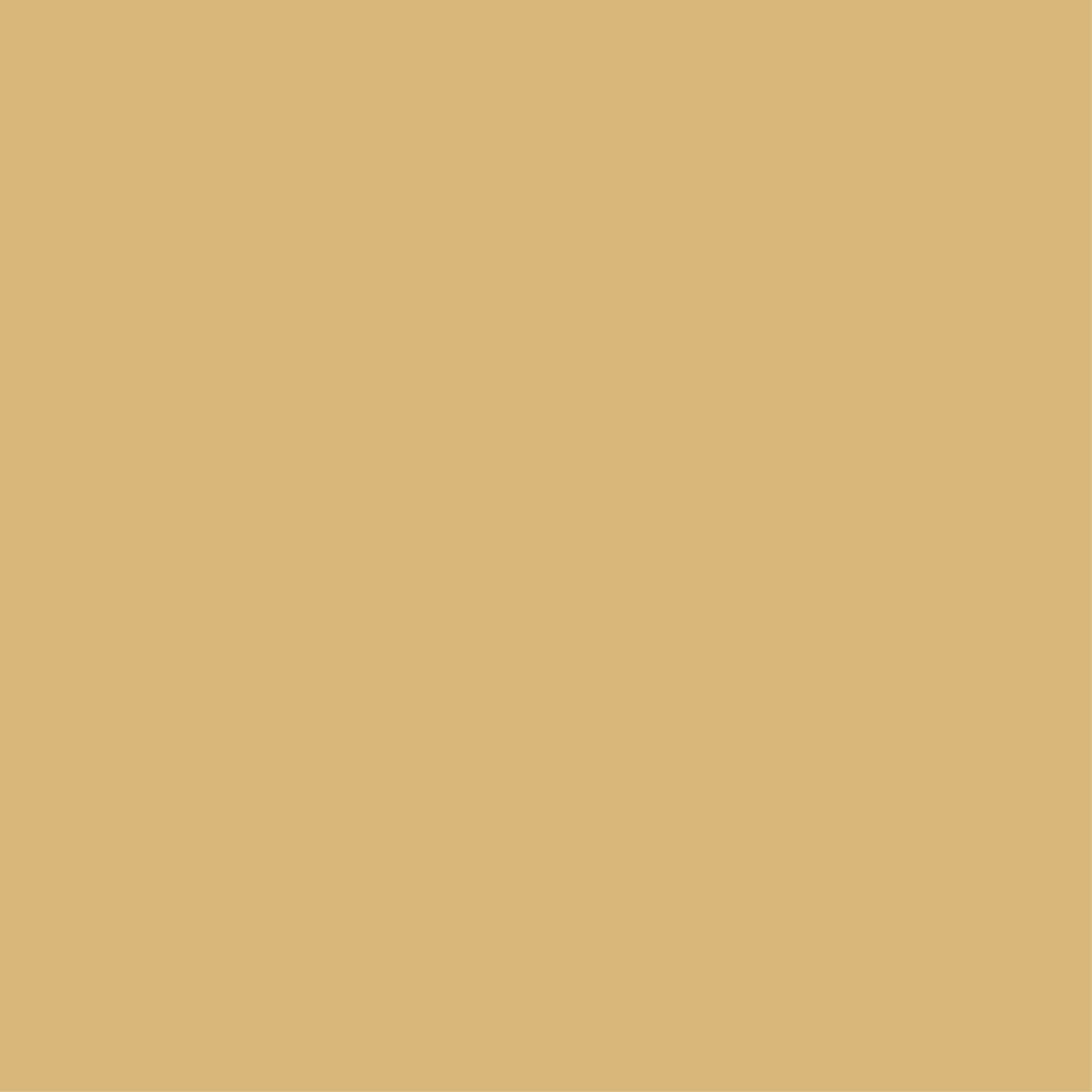 Uniquely Creative - 12" x 12" Champagne Cardstock (Individual Sheets) - Side A