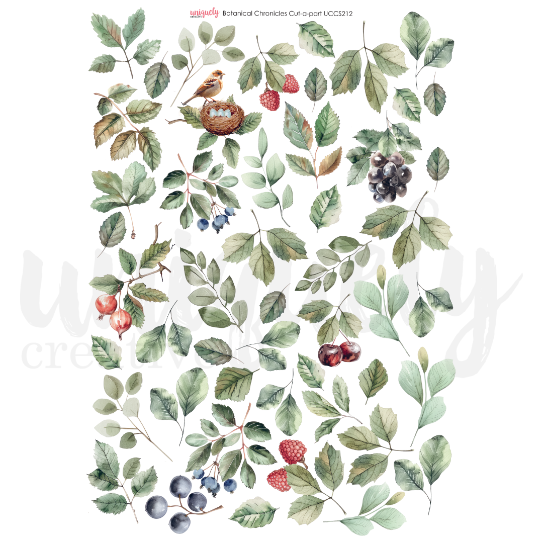 Uniquely Creative - Botanical Chronicles Cut-a-Part (Botanical Chronicles Collection)