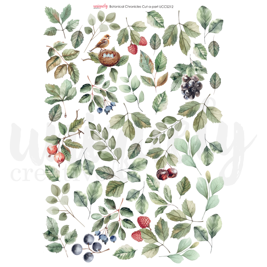 Uniquely Creative - Botanical Chronicles Cut-a-Part (Botanical Chronicles Collection)