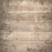 Uniquely Creative - Nature's Palette Paper (Botanical Chronicles Collection) Side A