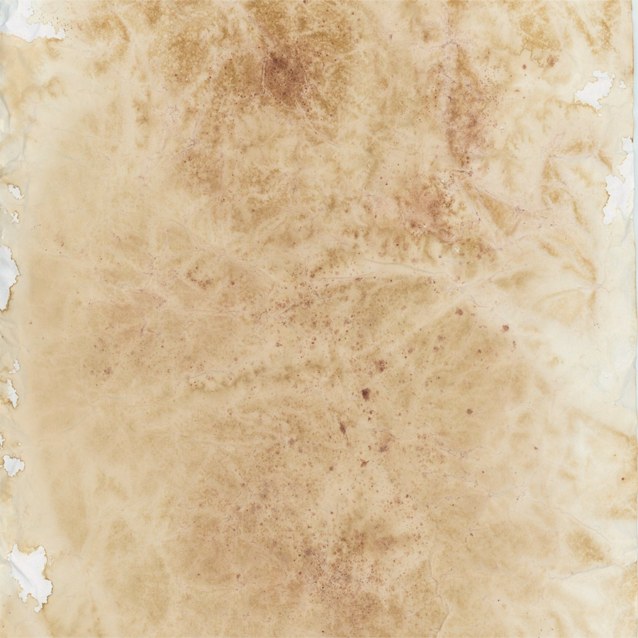 Uniquely Creative - Notebook Paper (Botanical Chronicles Collection) Side B