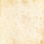 Uniquely Creative - Pressed Flowers Paper (Floral Archives Collection) Side A