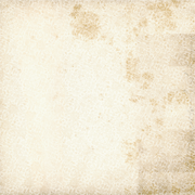 Uniquely Creative - Documented Flora Paper (Floral Archives Collection) Side B