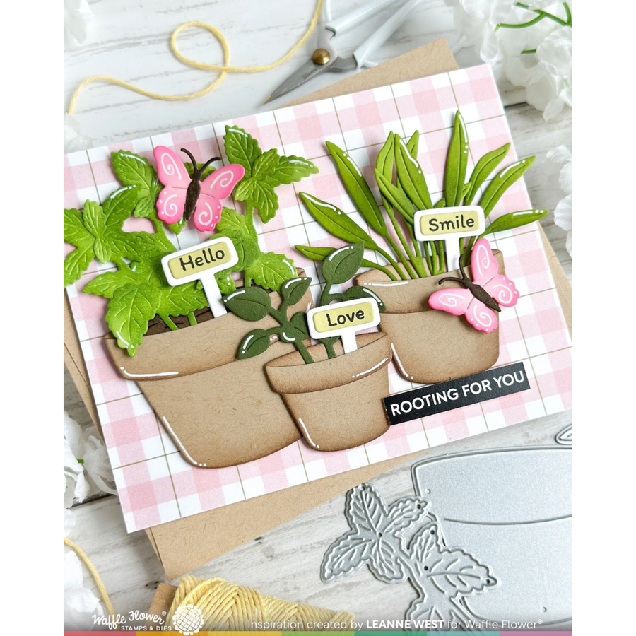 (PRE-ORDER) Waffle Flower - Plant Marker Combo