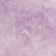 Lindy's Gang - Wanderlust Wisteria Shimmer Shaker