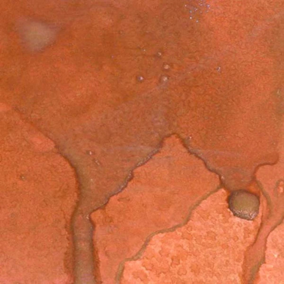 Close-up of a swatch in colours that appear as rusty metal surface with oxidation and corrosion. Lindy's Gang Canna Lily Burnt Orange Starburst Spray