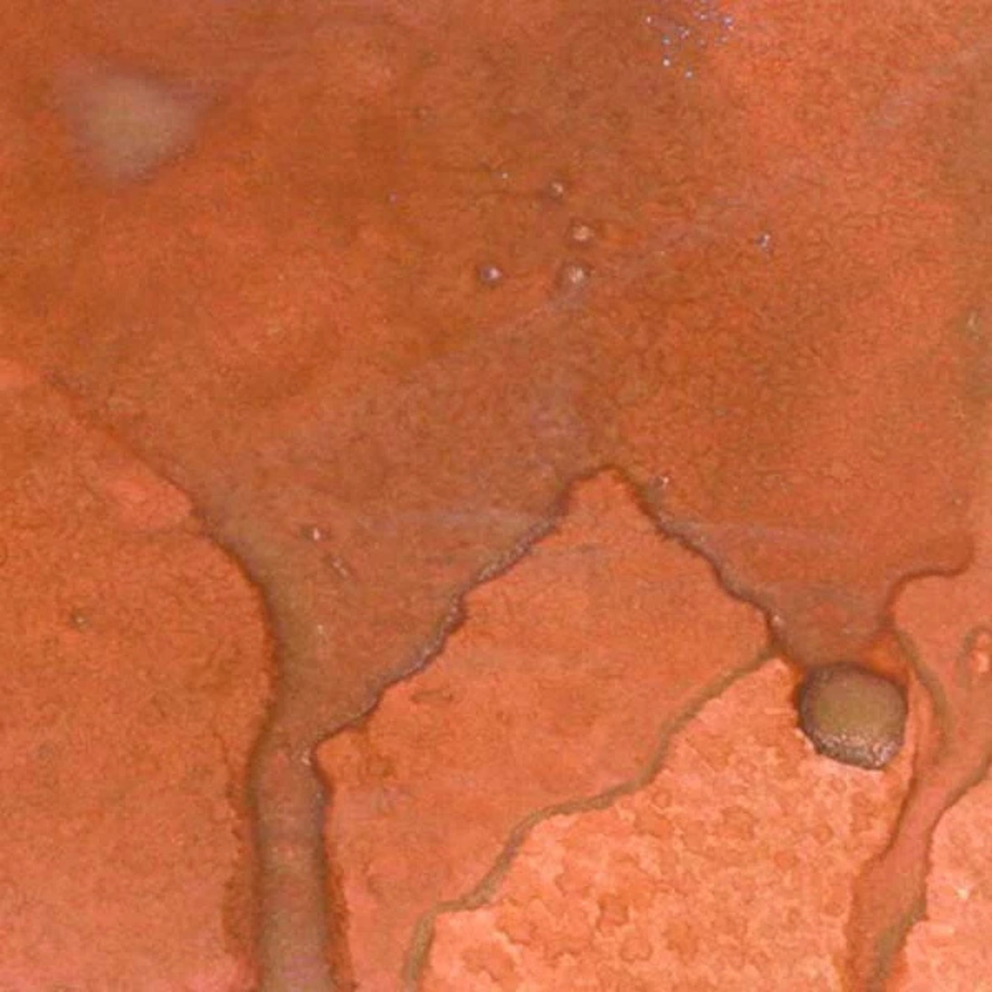 Close-up of a swatch in colours that appear as rusty metal surface with oxidation and corrosion. Lindy's Gang Canna Lily Burnt Orange Starburst Spray
