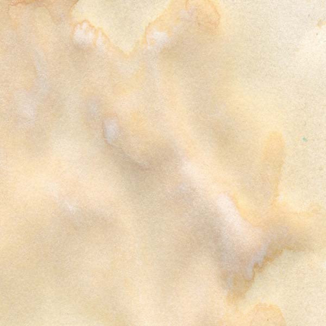 Lindy's Gang Clam Bake Beige Starburst Spray swatch