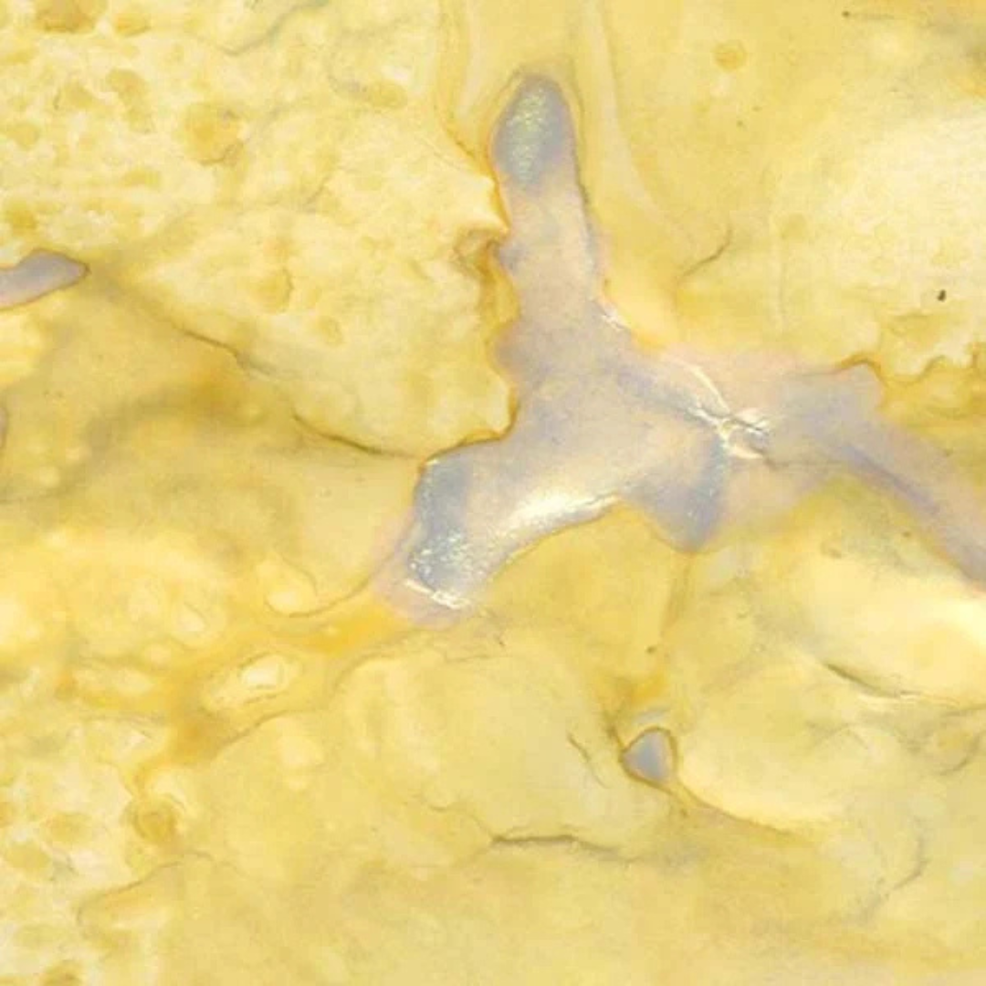 A close-up of a marbled yellow swatch with a pale blue-gray glossy streak running through the center. Lindy's Gang Glory of the Seas Gold Starburst Spray