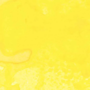 A close-up of a bright yellow textured surface with subtle tonal variation and a faint organic streak near the lower left. Lindy's Gang Yellow Rose of Texas Starburst Spray